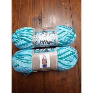Hobby Lobby I Love This Cotton Yarn 64 Aqua Ombre 2 Skeins 100% Cotton 3oz 153yd